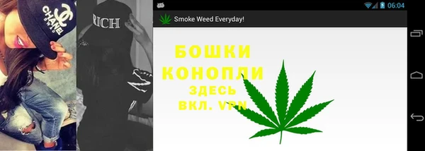 2c-b Осинники