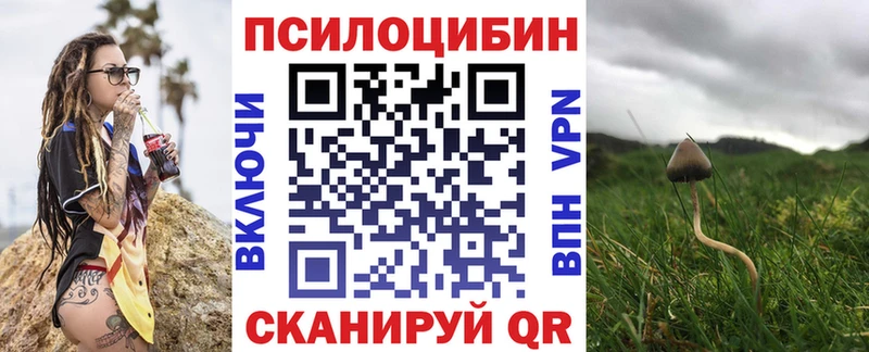 цена   hydra ссылки  Псилоцибиновые грибы Magic Shrooms  Зубцов 